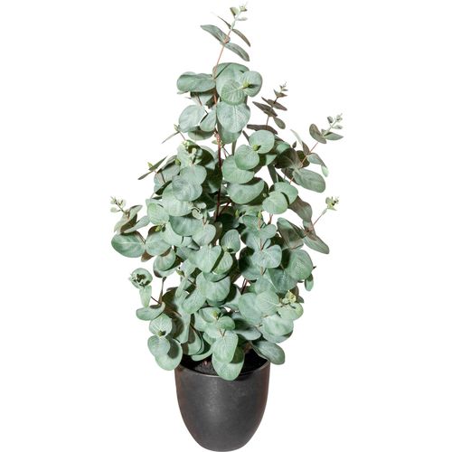 4064118144090 - Künstliche Zimmerpflanze CREATIV GREEN Dracaena draco Kunstpflanzen Gr Ø H 20 cm x 60 cm 1 St grün Künstliche Zimmerpflanzen im Topf 4064118144090 - Künstliche Zimmerpflanze CREATIV GREEN Dracaena draco Kunstpflanzen Gr Ø H 20 cm x 60 cm 1 St grün Künstliche Zimmerpflanzen im Topf