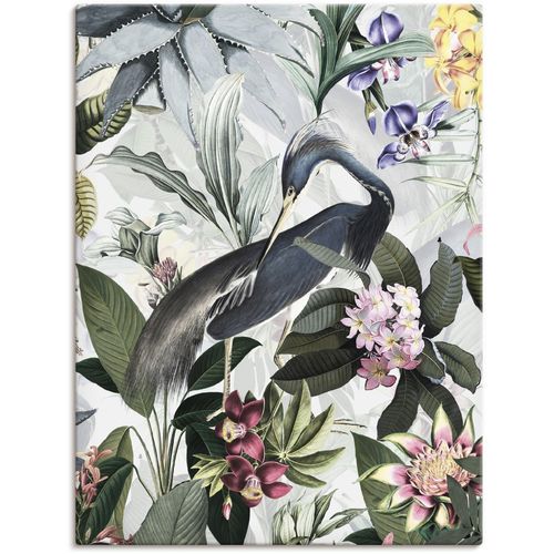 4062144648131 - Wandbild ARTLAND Vintage Kranich Bilder Gr B H 60 cm x 80 cm Leinwandbild Vogelbilder Hochformat 1 St grau Kunstdrucke als Alubild Leinwandbild Wandaufkleber oder Poster in versch Größen