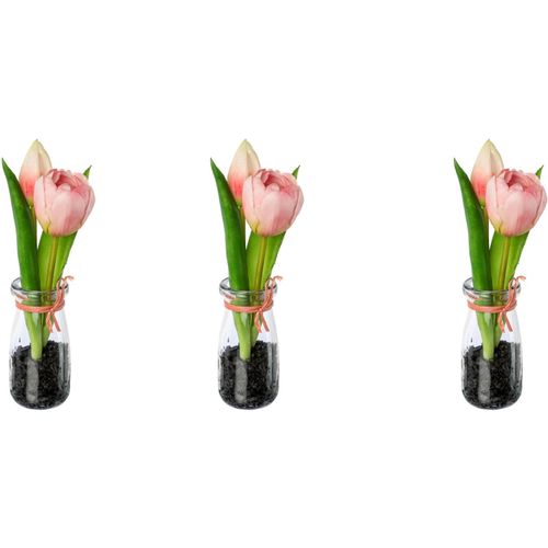 4064118141310 - Kunsttulpe MY HOME Tulpen in Vase Kunstpflanzen Gr H 21 cm 3 St rosa Kunstpflanzen 4064118141310 - Kunsttulpe MY HOME Tulpen in Vase Kunstpflanzen Gr H 21 cm 3 St rosa Kunstpflanzen