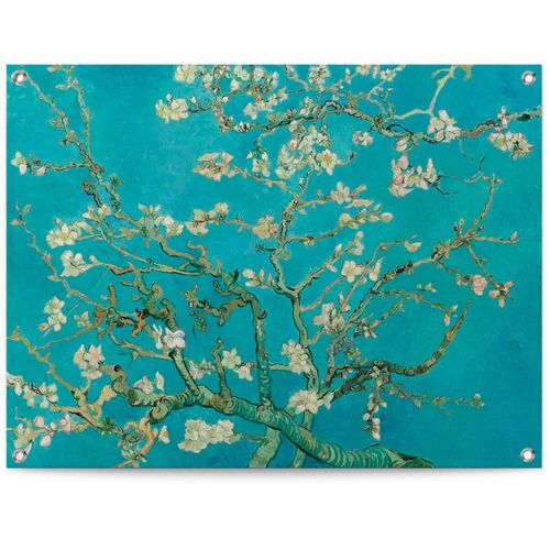 8714597627985 - Poster REINDERS Mandelblüte - Vincent van Gogh blau (farbe bild(er) blau) B80cm H60cm T01cm Leinwand Bilder