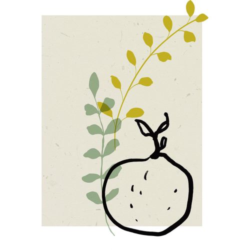 4055065176128 - Bild KOMAR Fruit du paradis beige (farbe bild(er) beige) B40cm H50cm Papier Holz Bilder Wandbild zur Dekoration - ohne Rahmen 4055065176128 - Bild KOMAR Fruit du paradis beige (farbe bild(er) beige) B40cm H50cm Papier Holz Bilder Wandbild zur Dekoration - ohne Rahmen