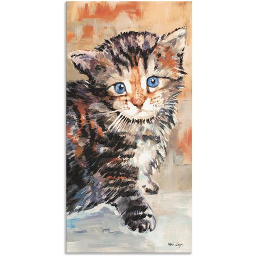 4057738414308 - Wandbild ARTLAND Katze Bilder Gr B H 20 cm x 40 cm Alu-Dibond-Druck Haustiere 1 St beige (naturfarben) Bild Poster Bilder als Alubild Leinwandbild Wandaufkleber oder in versch Größen 4057738414308 - Wandbild ARTLAND Katze Bilder Gr B H 20 cm x 40 cm Alu-Dibond-Druck Haustiere 1 St beige (naturfarben) Bild Poster Bilder als Alubild Leinwandbild Wandaufkleber oder in versch Größen