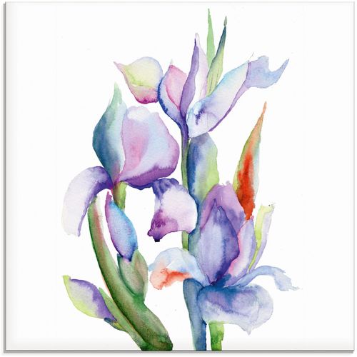 4059745776769 - Glasbild ARTLAND Iris Bilder Gr B H 40 cm x 40 cm Blumen 1 St blau Glasbilder Bilder in verschiedenen Größen 4059745776769 - Glasbild ARTLAND Iris Bilder Gr B H 40 cm x 40 cm Blumen 1 St blau Glasbilder Bilder in verschiedenen Größen