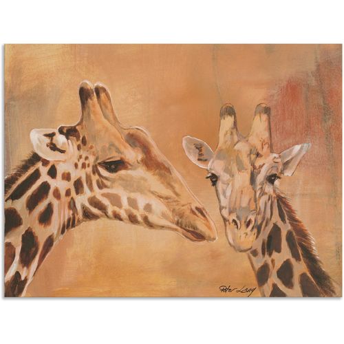 4057738411505 - Wandbild ARTLAND Giraffen Bilder Gr B H 60 cm x 45 cm Alu-Dibond-Druck Wildtiere 1 St braun Bild Poster Bilder als Alubild Leinwandbild Wandaufkleber oder in versch Größen 4057738411505 - Wandbild ARTLAND Giraffen Bilder Gr B H 60 cm x 45 cm Alu-Dibond-Druck Wildtiere 1 St braun Bild Poster Bilder als Alubild Leinwandbild Wandaufkleber oder in versch Größen