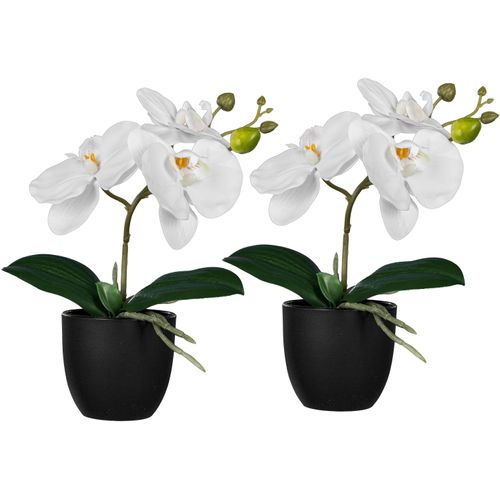 4064118326120 - Kunstorchidee CREATIV GREEN Orchidee Phalaenopsis weiß H23cm Kunststoff Kunstpflanzen mit naturgetreuen Blüten 4064118326120 - Kunstorchidee CREATIV GREEN Orchidee Phalaenopsis weiß H23cm Kunststoff Kunstpflanzen mit naturgetreuen Blüten