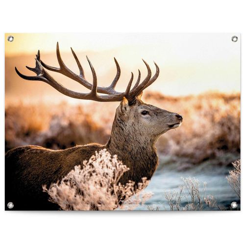 8714597638776 - Poster REINDERS Hirsch braun (farbe bild(er) braun) B80cm H60cm T01cm Leinwand Bilder Outdoor für Garten oder Balkon 8714597638776 - Poster REINDERS Hirsch braun (farbe bild(er) braun) B80cm H60cm T01cm Leinwand Bilder Outdoor für Garten oder Balkon