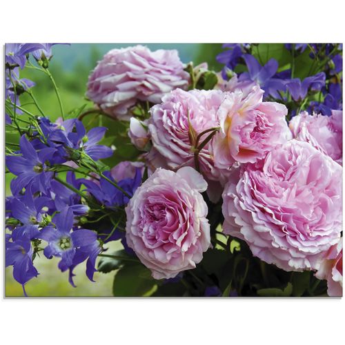 4059745778213 - Glasbild ARTLAND Rosen und Glockenblumen Bilder Gr B H 80 cm x 60 cm Glasbild Blumen 1 St pink Glasbilder in verschiedenen Größen 4059745778213 - Glasbild ARTLAND Rosen und Glockenblumen Bilder Gr B H 80 cm x 60 cm Glasbild Blumen 1 St pink Glasbilder in verschiedenen Größen