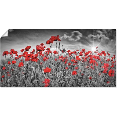 4058661648778 - Wandbild ARTLAND Idyllisches Mohnblumenfeld mit Sonne Bilder Gr B H 40 cm x 20 cm Poster Blumen 1 St schwarz Bild Kunstdruck Kunstdrucke Bilder als Alubild Leinwandbild Wandaufkleber oder Poster in versch Größen