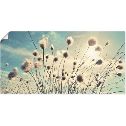4059745195898 - Wandbild ARTLAND Wollgras Bilder Gr B H 100 cm x 50 cm Poster Gräser 1 St blau Bild Kunstdruck Kunstdrucke Bilder als Alubild Leinwandbild Wandaufkleber oder Poster in versch Größen 4059745195898 - Wandbild ARTLAND Wollgras Bilder Gr B H 100 cm x 50 cm Poster Gräser 1 St blau Bild Kunstdruck Kunstdrucke Bilder als Alubild Leinwandbild Wandaufkleber oder Poster in versch Größen