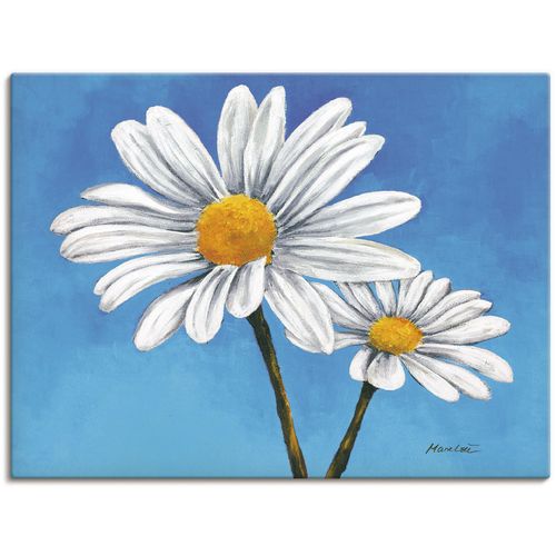 4055327149860 - Wandbild ARTLAND Margeriten auf Blau Bilder Gr B H 80 cm x 60 cm Leinwandbild Blumen 1 St blau Bild Poster Bilder als Alubild Leinwandbild Wandaufkleber oder in versch Größen 4055327149860 - Wandbild ARTLAND Margeriten auf Blau Bilder Gr B H 80 cm x 60 cm Leinwandbild Blumen 1 St blau Bild Poster Bilder als Alubild Leinwandbild Wandaufkleber oder in versch Größen