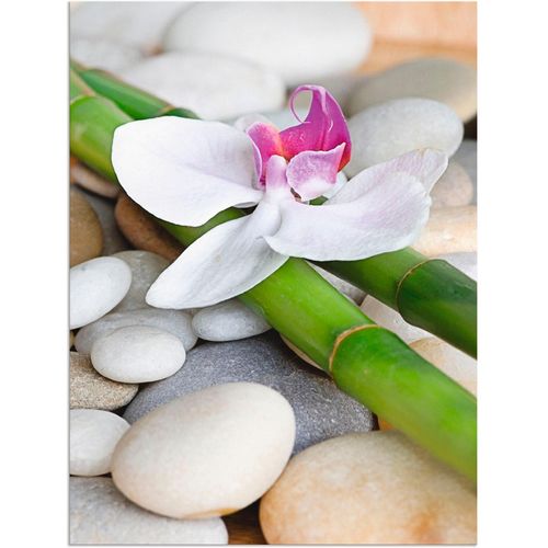 4057738843856 - Wandbild ARTLAND Zen Orchidee Bilder Gr B H 45 cm x 60 cm Alu-Dibond-Druck Zen Hochformat 1 St weiß Bild Poster Bilder als Alubild Leinwandbild Wandaufkleber oder in versch Größen