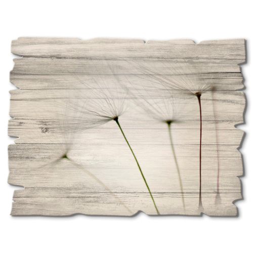 4062144361542 - Holzbild ARTLAND Pusteblumen-Samen I Bilder Gr B H 40 cm x 30 cm Holzbild Blumen Querformat 1 St grau Bild Holzbild Holzbilder Bilder 4062144361542 - Holzbild ARTLAND Pusteblumen-Samen I Bilder Gr B H 40 cm x 30 cm Holzbild Blumen Querformat 1 St grau Bild Holzbild Holzbilder Bilder