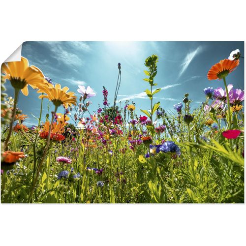 4062144669396 - Wandbild ARTLAND Buntes Blumenfeld Bilder Gr B H 30 cm x 20 cm Poster Blumenwiese Querformat 1 St bunt Kunstdrucke als Alubild Leinwandbild Wandaufkleber oder Poster in versch Größen 4062144669396 - Wandbild ARTLAND Buntes Blumenfeld Bilder Gr B H 30 cm x 20 cm Poster Blumenwiese Querformat 1 St bunt Kunstdrucke als Alubild Leinwandbild Wandaufkleber oder Poster in versch Größen