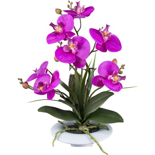 4064118240495 - Kunstorchidee CREATIV GREEN Orchidee Phalaenopsis lila H41cm Kunststoff Kunstpflanzen in außergewöhnlicher Keramikschale
