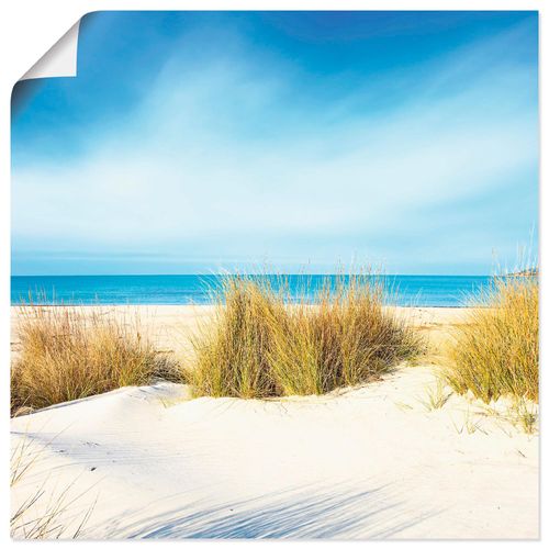 4062144005811 - Wandbild ARTLAND Gras auf Sanddünen Bilder Gr B H 30 cm x 30 cm Poster Strand quadratisch 1 St blau Bild Poster Bilder als Alubild Leinwandbild Wandaufkleber oder in versch Größen 4062144005811 - Wandbild ARTLAND Gras auf Sanddünen Bilder Gr B H 30 cm x 30 cm Poster Strand quadratisch 1 St blau Bild Poster Bilder als Alubild Leinwandbild Wandaufkleber oder in versch Größen