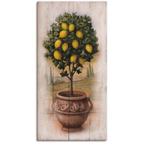4062144550861 - Wandbild ARTLAND Zitronenbaum mit Holzoptik Bilder Gr B H 30 cm x 60 cm Leinwandbild Bäume quadratisch 1 St beige (naturfarben) Bild Leinwandbild Kunstdrucke Bilder als Leinwandbild Wandaufkleber oder Poster in versch Größen 4062144550861 - Wandbild ARTLAND Zitronenbaum mit Holzoptik Bilder Gr B H 30 cm x 60 cm Leinwandbild Bäume quadratisch 1 St beige (naturfarben) Bild Leinwandbild Kunstdrucke Bilder als Leinwandbild Wandaufkleber oder Poster in versch Größen