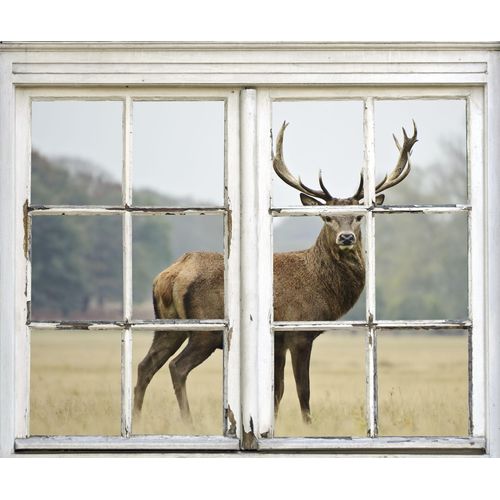 4049009363750 - Wandsticker QUEENCE Hirsch braun T01cm Wandtattoos Wandsticker Wandbild selbstklebend 3D Fenster Hirsch 4049009363750 - Wandsticker QUEENCE Hirsch braun T01cm Wandtattoos Wandsticker Wandbild selbstklebend 3D Fenster Hirsch