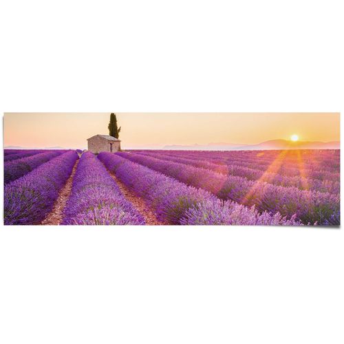 8714597554076 - Poster REINDERS Lavendel Horizont lila (farbe bild(er) lila) B158cm H53cm Papier Bilder 8714597554076 - Poster REINDERS Lavendel Horizont lila (farbe bild(er) lila) B158cm H53cm Papier Bilder
