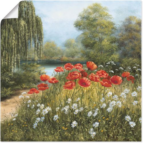 4055327272124 - Wandbild ARTLAND Mohnwiese am See Bilder Gr B H 50 cm x 50 cm Poster Blumenwiese 1 St grün Bild Poster Bilder als Alubild Leinwandbild Wandaufkleber oder in versch Größen 4055327272124 - Wandbild ARTLAND Mohnwiese am See Bilder Gr B H 50 cm x 50 cm Poster Blumenwiese 1 St grün Bild Poster Bilder als Alubild Leinwandbild Wandaufkleber oder in versch Größen