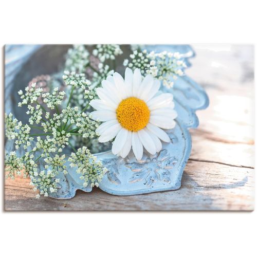 4062144080580 - Wandbild ARTLAND Zarte Margeriten Blüte Bilder Gr B H 90 cm x 60 cm Leinwandbild Blumen 1 St weiß Bild Metallbild Kunstdruck Metallbilder Bilder als Alubild Leinwandbild Wandaufkleber oder Poster in versch Größen