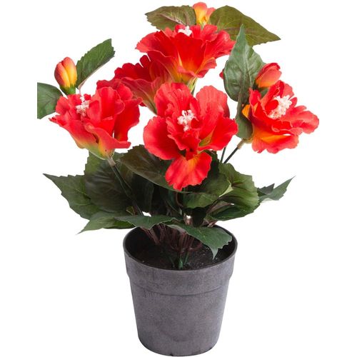 8505451848055 - Kunstblume BOTANIC-HAUS Hibiskus im Topf Kunstpflanzen Gr Ø H 20 cm x 27 cm 1 St orange (orange rot) Kunst-Blumen 8505451848055 - Kunstblume BOTANIC-HAUS Hibiskus im Topf Kunstpflanzen Gr Ø H 20 cm x 27 cm 1 St orange (orange rot) Kunst-Blumen