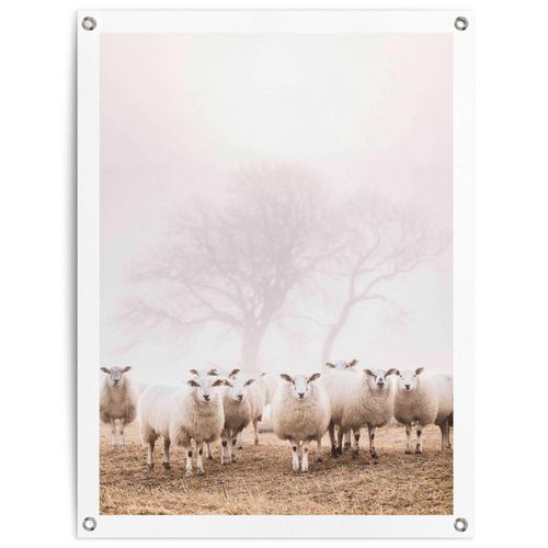 8714597638790 - Poster REINDERS Schafe im Nebel beige (farbe bild(er) beige) B60cm H80cm T01cm Leinwand Bilder Outdoor für Garten oder Balkon 8714597638790 - Poster REINDERS Schafe im Nebel beige (farbe bild(er) beige) B60cm H80cm T01cm Leinwand Bilder Outdoor für Garten oder Balkon