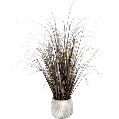4019844789947 - Kunstpflanze IGEA Gras Kunstpflanzen Gr B H L 36 cm x 65 cm x 36 cm 1 St rot (burgund) Künstliche Zimmerpflanzen Mit Übertopf aus Keramik 4019844789947 - Kunstpflanze IGEA Gras Kunstpflanzen Gr B H L 36 cm x 65 cm x 36 cm 1 St rot (burgund) Künstliche Zimmerpflanzen Mit Übertopf aus Keramik