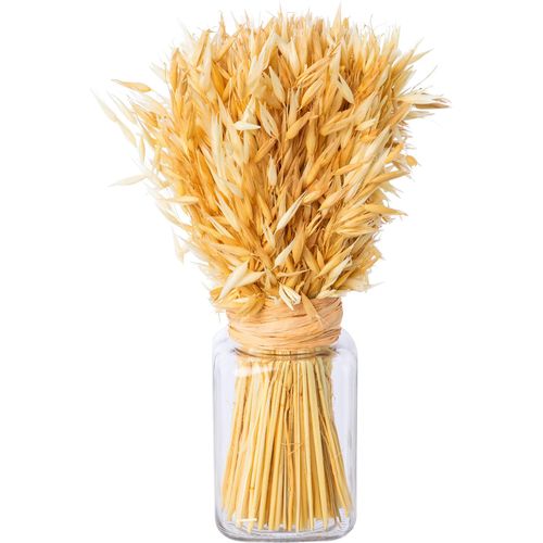 4064118141440 - Trockenblume CREATIV HOME Trockenblumenarrangement im Glas Kunstpflanzen Gr Ø H 9 cm x 30 cm 1 St beige (creme) Trockenblumen 4064118141440 - Trockenblume CREATIV HOME Trockenblumenarrangement im Glas Kunstpflanzen Gr Ø H 9 cm x 30 cm 1 St beige (creme) Trockenblumen