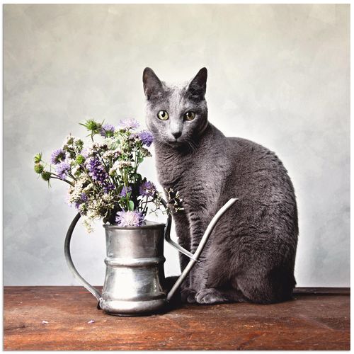 4062144014158 - Wandbild ARTLAND Katze mit Deko Bilder Gr B H 50 cm x 50 cm Alu-Dibond-Druck Haustiere quadratisch 1 St schwarz Bild Leinwandbild Kunstdrucke Bilder als Alubild Leinwandbild Wandaufkleber oder Poster in versch Größen 4062144014158 - Wandbild ARTLAND Katze mit Deko Bilder Gr B H 50 cm x 50 cm Alu-Dibond-Druck Haustiere quadratisch 1 St schwarz Bild Leinwandbild Kunstdrucke Bilder als Alubild Leinwandbild Wandaufkleber oder Poster in versch Größen