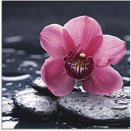 4058661606525 - Glasbild ARTLAND Stillleben mit Kiesel und einer Orchidee Bilder Gr B H 40 cm x 40 cm Blumen 1 St pink Glasbilder Bilder in verschiedenen Größen 4058661606525 - Glasbild ARTLAND Stillleben mit Kiesel und einer Orchidee Bilder Gr B H 40 cm x 40 cm Blumen 1 St pink Glasbilder Bilder in verschiedenen Größen