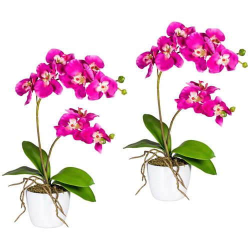 4064118040842 - Kunstpflanze CREATIV GREEN Orchidee Phalaenopsis Kunstpflanzen Gr H 60 cm 2 St pink Künstliche Zimmerpflanzen Kunstpflanzen im Keramiktopf 4064118040842 - Kunstpflanze CREATIV GREEN Orchidee Phalaenopsis Kunstpflanzen Gr H 60 cm 2 St pink Künstliche Zimmerpflanzen Kunstpflanzen im Keramiktopf