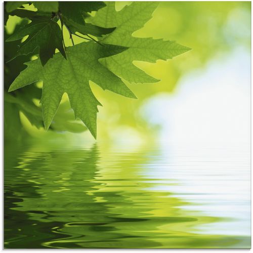4055327033183 - Glasbild ARTLAND Grüne Blätter reflektieren im Wasser Bilder Gr B H 20 cm x 20 cm Blätter 1 St grün Glasbilder Bilder in verschiedenen Größen 4055327033183 - Glasbild ARTLAND Grüne Blätter reflektieren im Wasser Bilder Gr B H 20 cm x 20 cm Blätter 1 St grün Glasbilder Bilder in verschiedenen Größen