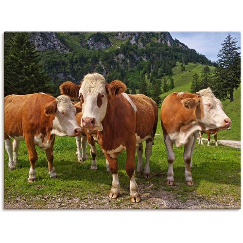 4057738029700 - Wandbild ARTLAND Bayerische Kühe Bilder Gr B H 80 cm x 60 cm Leinwandbild Haustiere 1 St grün Kunstdrucke Bilder als Leinwandbild Wandaufkleber oder Poster in versch Größen 4057738029700 - Wandbild ARTLAND Bayerische Kühe Bilder Gr B H 80 cm x 60 cm Leinwandbild Haustiere 1 St grün Kunstdrucke Bilder als Leinwandbild Wandaufkleber oder Poster in versch Größen