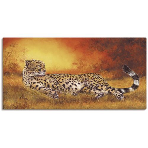 4055327157995 - Wandbild ARTLAND Gepard Bilder Gr B H 100 cm x 50 cm Leinwandbild Geparden Bilder Querformat 1 St orange Kunstdrucke als Alubild Leinwandbild Wandaufkleber oder Poster in versch Größen 4055327157995 - Wandbild ARTLAND Gepard Bilder Gr B H 100 cm x 50 cm Leinwandbild Geparden Bilder Querformat 1 St orange Kunstdrucke als Alubild Leinwandbild Wandaufkleber oder Poster in versch Größen