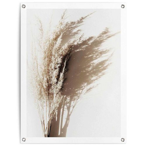 8714597638554 - Poster REINDERS Sonniges Gras beige (farbe bild(er) beige) B60cm H80cm T01cm Leinwand Bilder Outdoor für Garten oder Balkon 8714597638554 - Poster REINDERS Sonniges Gras beige (farbe bild(er) beige) B60cm H80cm T01cm Leinwand Bilder Outdoor für Garten oder Balkon