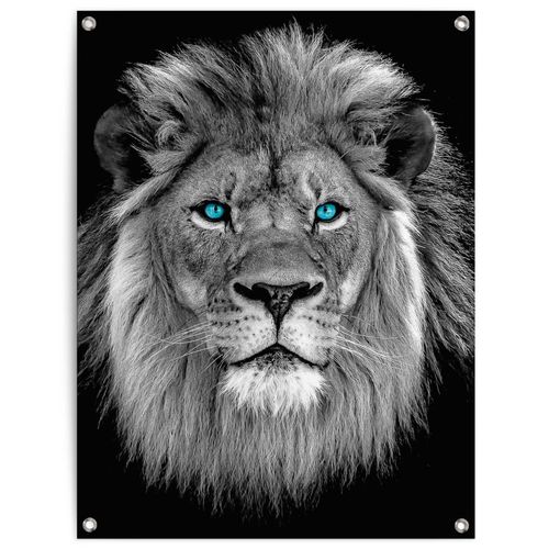 8714597638721 - Poster REINDERS Löwe mit blaue Augen schwarz (farbe bild(er) schwarz) B60cm H80cm T01cm Leinwand Bilder Outdoor für Garten oder Balkon 8714597638721 - Poster REINDERS Löwe mit blaue Augen schwarz (farbe bild(er) schwarz) B60cm H80cm T01cm Leinwand Bilder Outdoor für Garten oder Balkon