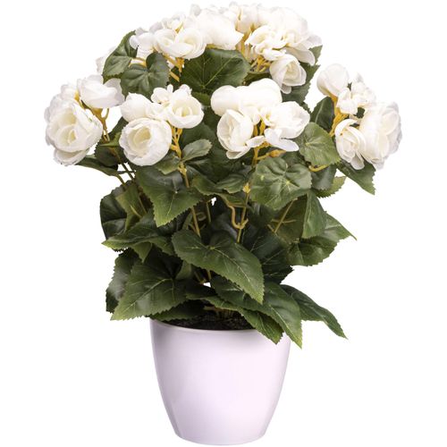 4064118138488 - Kunstblume CREATIV GREEN Begonienbusch beige (creme) H35cm Obermaterial 85% Polyester 15% Polyethylen Kunstpflanzen 4064118138488 - Kunstblume CREATIV GREEN Begonienbusch beige (creme) H35cm Obermaterial 85% Polyester 15% Polyethylen Kunstpflanzen