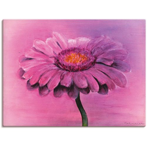 4058661446596 - Wandbild ARTLAND Gerbera Bilder Gr B H 80 cm x 60 cm Leinwandbild Blumen 1 St pink Bild Kunstdruck Poster Bilder als Alubild Leinwandbild Wandaufkleber oder in versch Größen 4058661446596 - Wandbild ARTLAND Gerbera Bilder Gr B H 80 cm x 60 cm Leinwandbild Blumen 1 St pink Bild Kunstdruck Poster Bilder als Alubild Leinwandbild Wandaufkleber oder in versch Größen
