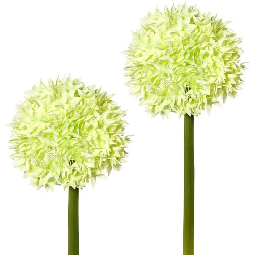 4003529901526 - Kunstblume CREATIV GREEN Kunstpflanzen Gr H 65 cm 2 St grün Kunstblume Kunstpflanze Kunst-Blumen Kunstpflanzen 2er Set 4003529901526 - Kunstblume CREATIV GREEN Kunstpflanzen Gr H 65 cm 2 St grün Kunstblume Kunstpflanze Kunst-Blumen Kunstpflanzen 2er Set