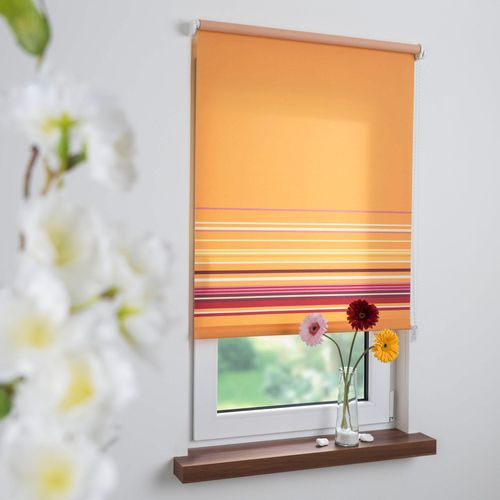 4016318266843 - Seitenzugrollo Dekor Bordüre Rollos Gr 180 cm einseitig verschiebbar 62 cm orange Kinder Kinderzimmer-Rollos Rollo Seitenzugrollo Dekor Bordüre 4016318266843 - Seitenzugrollo Dekor Bordüre Rollos Gr 180 cm einseitig verschiebbar 62 cm orange Kinder Kinderzimmer-Rollos Rollo Seitenzugrollo Dekor Bordüre
