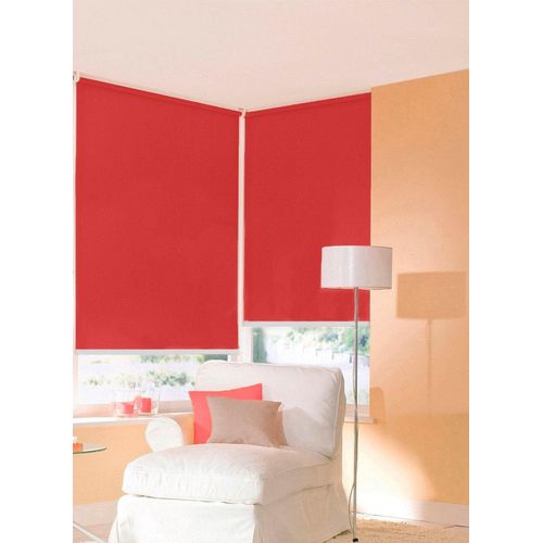 4001442419005 - Plissee Start-up Style Honeycomb Plissees Gr 65 cm zweiseitig verschiebbar 50 cm gelb (senf weiß weiß) Plissees ohne Bohren verspannt mit Simply-Fix Klemmträger Wabenplissee nach Maß 4001442419005 - Plissee Start-up Style Honeycomb Plissees Gr 65 cm zweiseitig verschiebbar 50 cm gelb (senf weiß weiß) Plissees ohne Bohren verspannt mit Simply-Fix Klemmträger Wabenplissee nach Maß