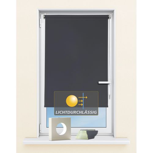 4250178723546 - Seitenzugrollo KUTTI Seitenzugrollo Ida Lichtschutz Klemmfix ohne Bohren Fixmaß Gr 1 grau (stahlgrau) B60cm H160cm Polyester Rollos Sichtschutz Sonnenschutz 4250178723546 - Seitenzugrollo KUTTI Seitenzugrollo Ida Lichtschutz Klemmfix ohne Bohren Fixmaß Gr 1 grau (stahlgrau) B60cm H160cm Polyester Rollos Sichtschutz Sonnenschutz