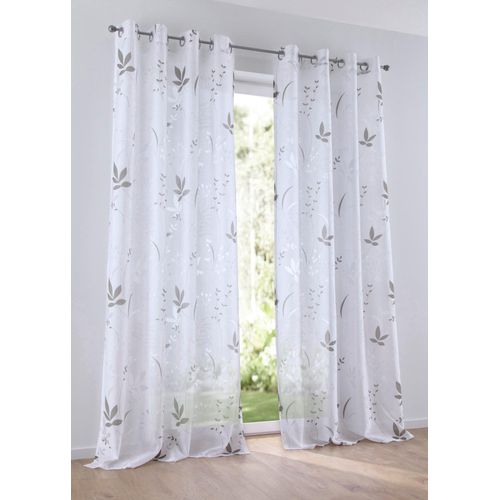 4016478986001 - Vorhang KUTTI Dandelion Gr 1 grau (taupe weiß beige) B140cm H145cm Baumwolloptik Baumwolle Polyester Gardinen Gardine halbtransparent Ausbrenner Baumwolle-Polyester bedruckt 4016478986001 - Vorhang KUTTI Dandelion Gr 1 grau (taupe weiß beige) B140cm H145cm Baumwolloptik Baumwolle Polyester Gardinen Gardine halbtransparent Ausbrenner Baumwolle-Polyester bedruckt