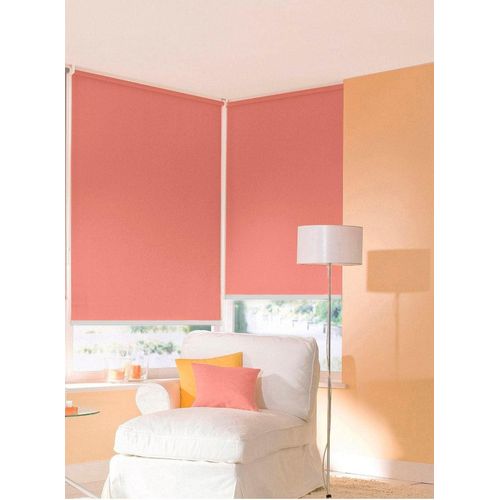4001442419142 - Plissee Start-up Style Honeycomb Plissees Gr 85 cm zweiseitig verschiebbar 51 cm gelb (senf weiß weiß) Plissees ohne Bohren verspannt mit Simply-Fix Klemmträger Wabenplissee nach Maß