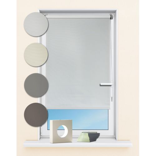 4250178714681 - Seitenzugrollo KUTTI Seitenzugrollo Ida Lichtschutz Klemmfix ohne Bohren Fixmaß Gr 1 grau (taupe) B60cm H160cm Polyester Rollos Sichtschutz Sonnenschutz