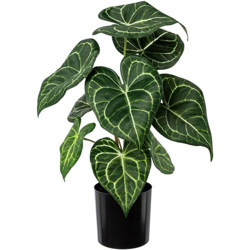 4064118143932 - Künstliche Zimmerpflanze CREATIV GREEN Dracaena draco Kunstpflanzen Gr Ø H 20 cm x 37 cm 1 St grün (grün weiß) Künstliche Zimmerpflanzen im Topf