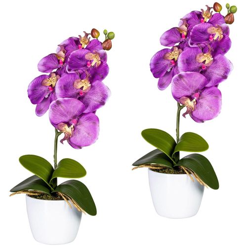 4064118040958 - Kunstpflanze CREATIV GREEN Orchidee Phalaenopsis Kunstpflanzen Gr H 40 cm 2 St lila Künstliche Zimmerpflanzen Kunstpflanzen im Keramiktopf 4064118040958 - Kunstpflanze CREATIV GREEN Orchidee Phalaenopsis Kunstpflanzen Gr H 40 cm 2 St lila Künstliche Zimmerpflanzen Kunstpflanzen im Keramiktopf
