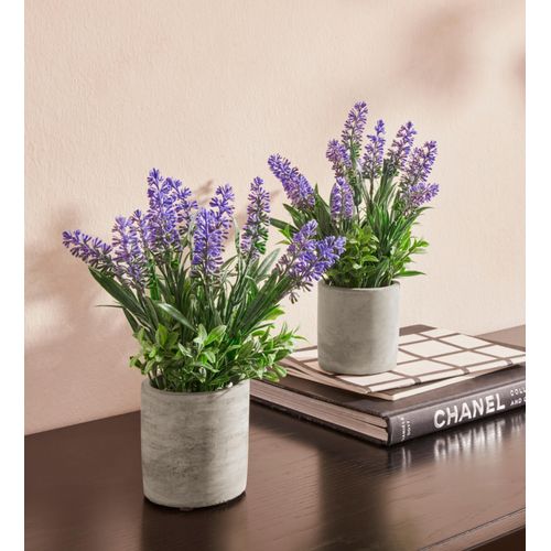4019844772260 - Kunstpflanze GUIDO MARIA KRETSCHMER HOME&LIVING Effetamo Kunstpflanzen Gr B H 13 cm x 23 cm 2 St lila (lavendel) Künstliche Zimmerpflanzen im Topf 2er Set 4019844772260 - Kunstpflanze GUIDO MARIA KRETSCHMER HOME&LIVING Effetamo Kunstpflanzen Gr B H 13 cm x 23 cm 2 St lila (lavendel) Künstliche Zimmerpflanzen im Topf 2er Set