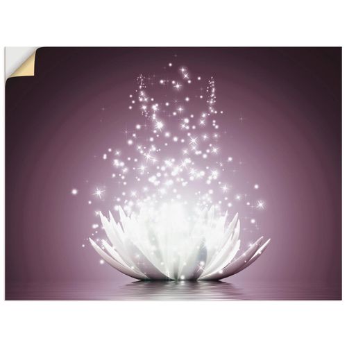 4062144537244 - Wandbild ARTLAND Magie der Lotus-Blume Bilder Gr B H 40 cm x 30 cm Wandaufkleber - Vinyl Blumen Querformat 1 St lila Bild Leinwandbild Kunstdrucke Bilder als Leinwandbild Wandaufkleber oder Poster in versch Größen 4062144537244 - Wandbild ARTLAND Magie der Lotus-Blume Bilder Gr B H 40 cm x 30 cm Wandaufkleber - Vinyl Blumen Querformat 1 St lila Bild Leinwandbild Kunstdrucke Bilder als Leinwandbild Wandaufkleber oder Poster in versch Größen