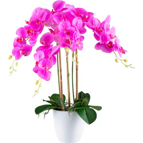 4064118241133 - Kunstorchidee CREATIV GREEN Orchidee Phalaenopsis lila H62cm Kunststoff Kunstpflanzen mit real-touch-Blüten